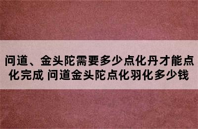 问道、金头陀需要多少点化丹才能点化完成 问道金头陀点化羽化多少钱